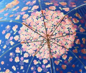 双子星的樱花伞