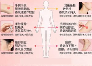 噴香水的位置圖